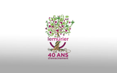 Capsule vidéo à voir et la gouvernance participative au Mûrier